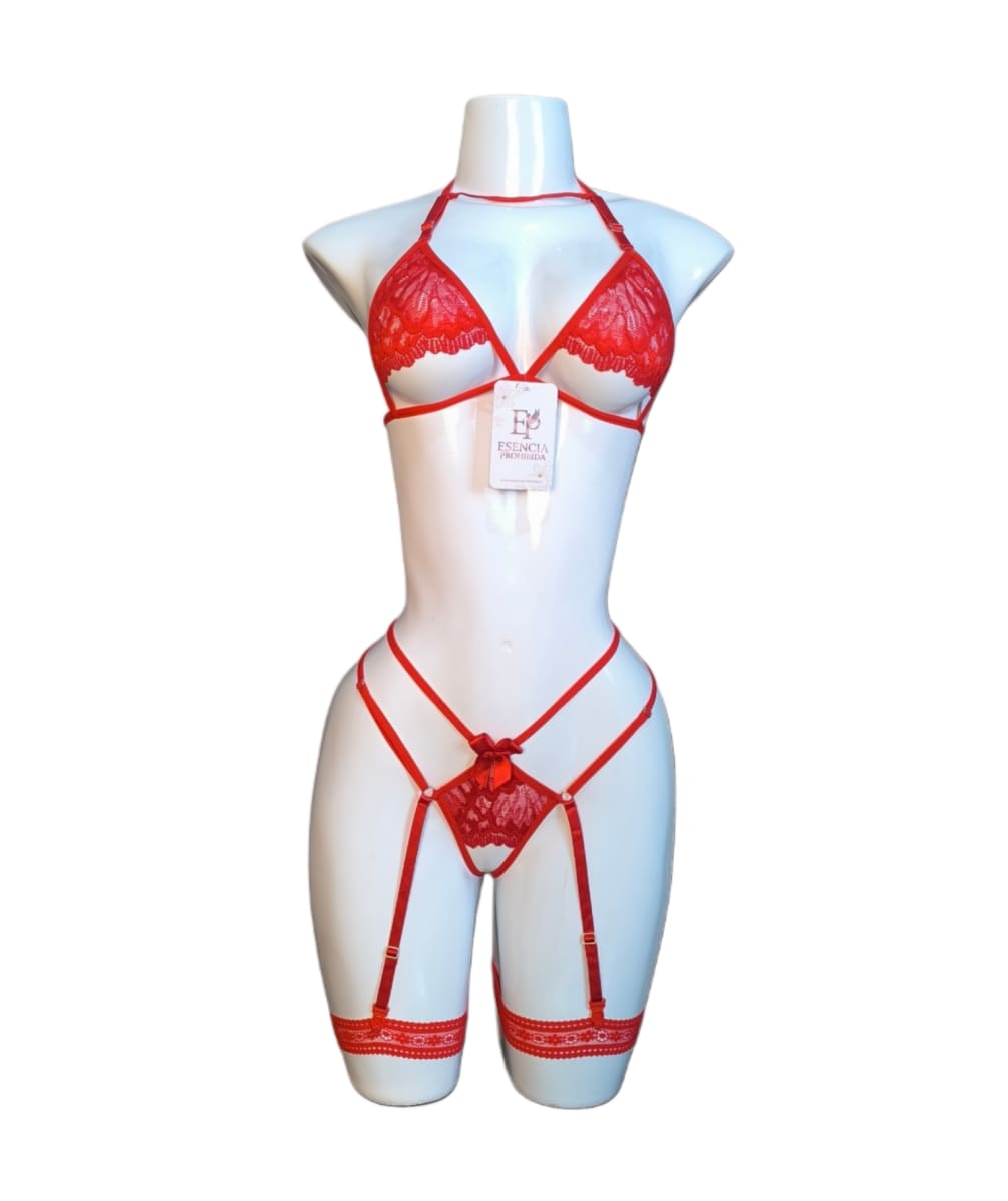 LENCERIA SEXY DE ENCAJE CONJUNTO PORTALIGAS SIEMPRE LISTA CON LIGUEROS - 7
