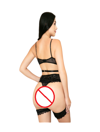 LENCERIA SEXY CONJUNTO PORTALIGAS DE ENCAJE SET CON LIGUEROS - 2