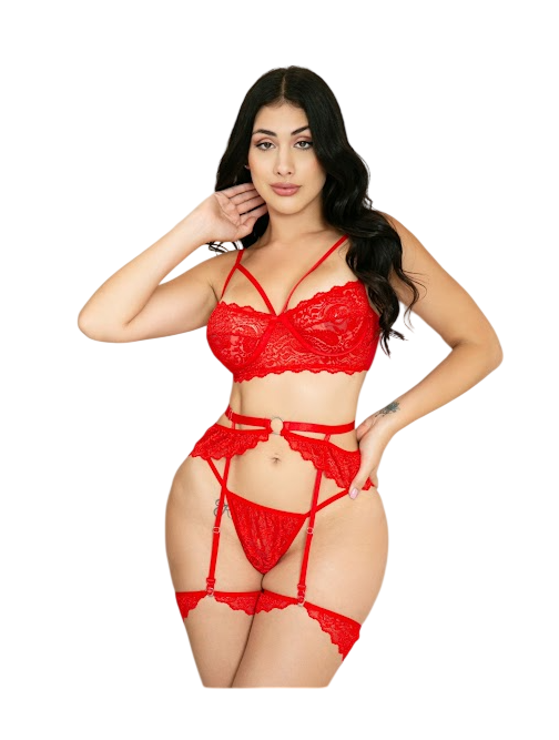 LENCERIA SEXY CONJUNTO PORTALIGAS DE ENCAJE SET CON LIGUEROS - 3
