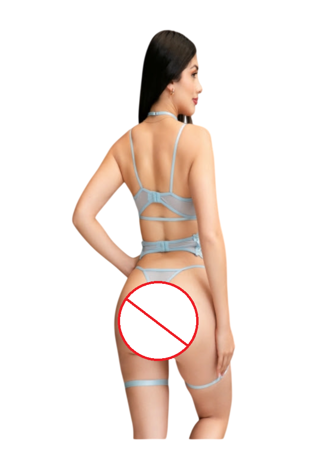 LENCERIA DE ENCAJE SEXY CONJUNTO PORTALIGAS CON LIGUEROS - 2