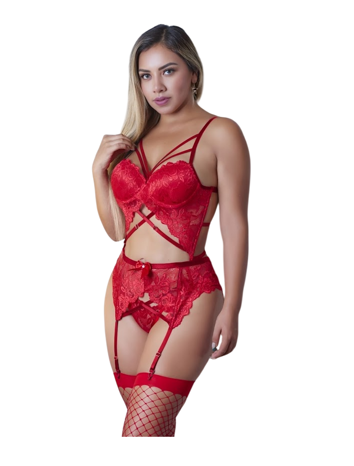 LENCERIA DE ENCAJE CONJUNTO CORSET PORTALIGAS CON MEDIAS MALLA - 1