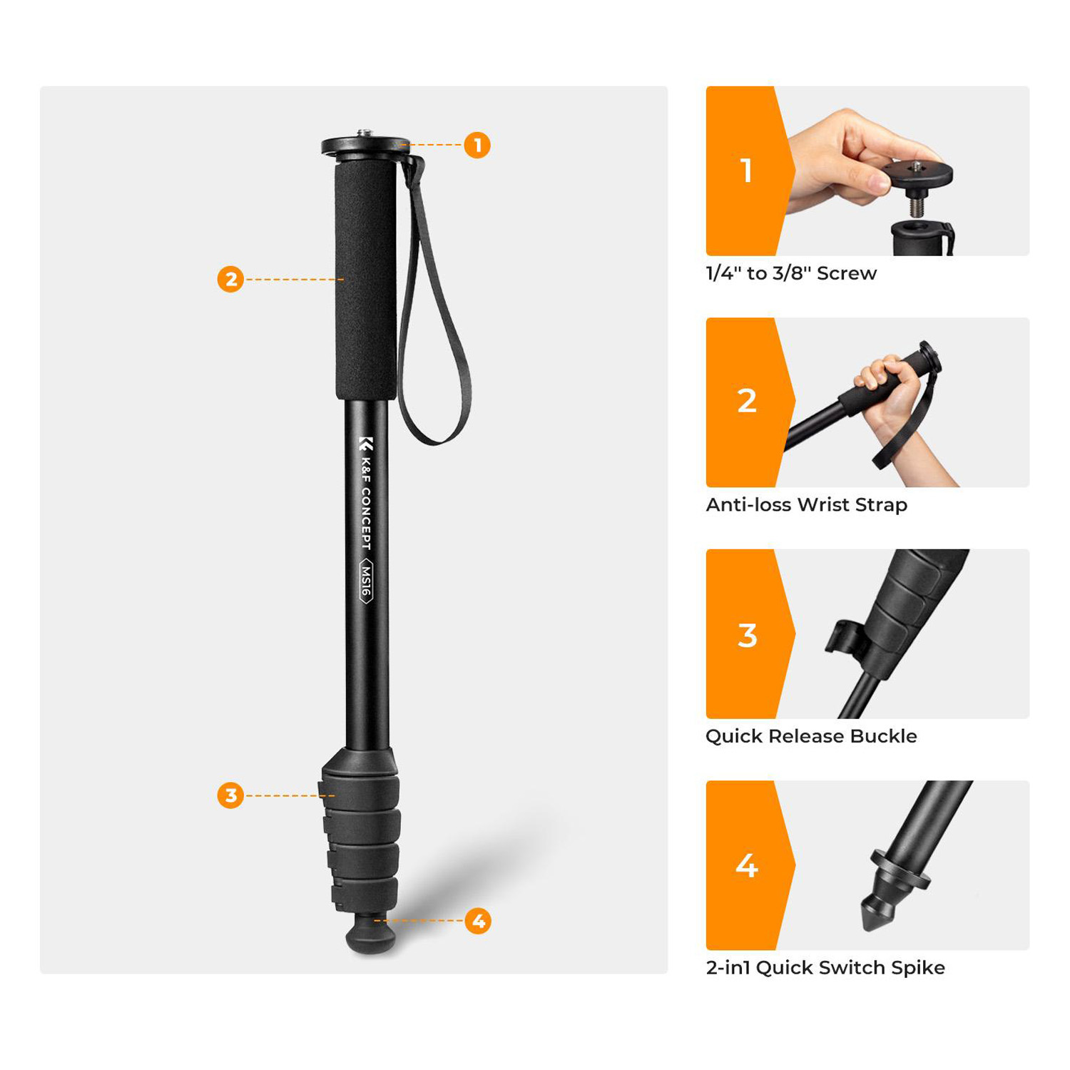 MONOPIE KYF CONCEPT KF09.138 - 4