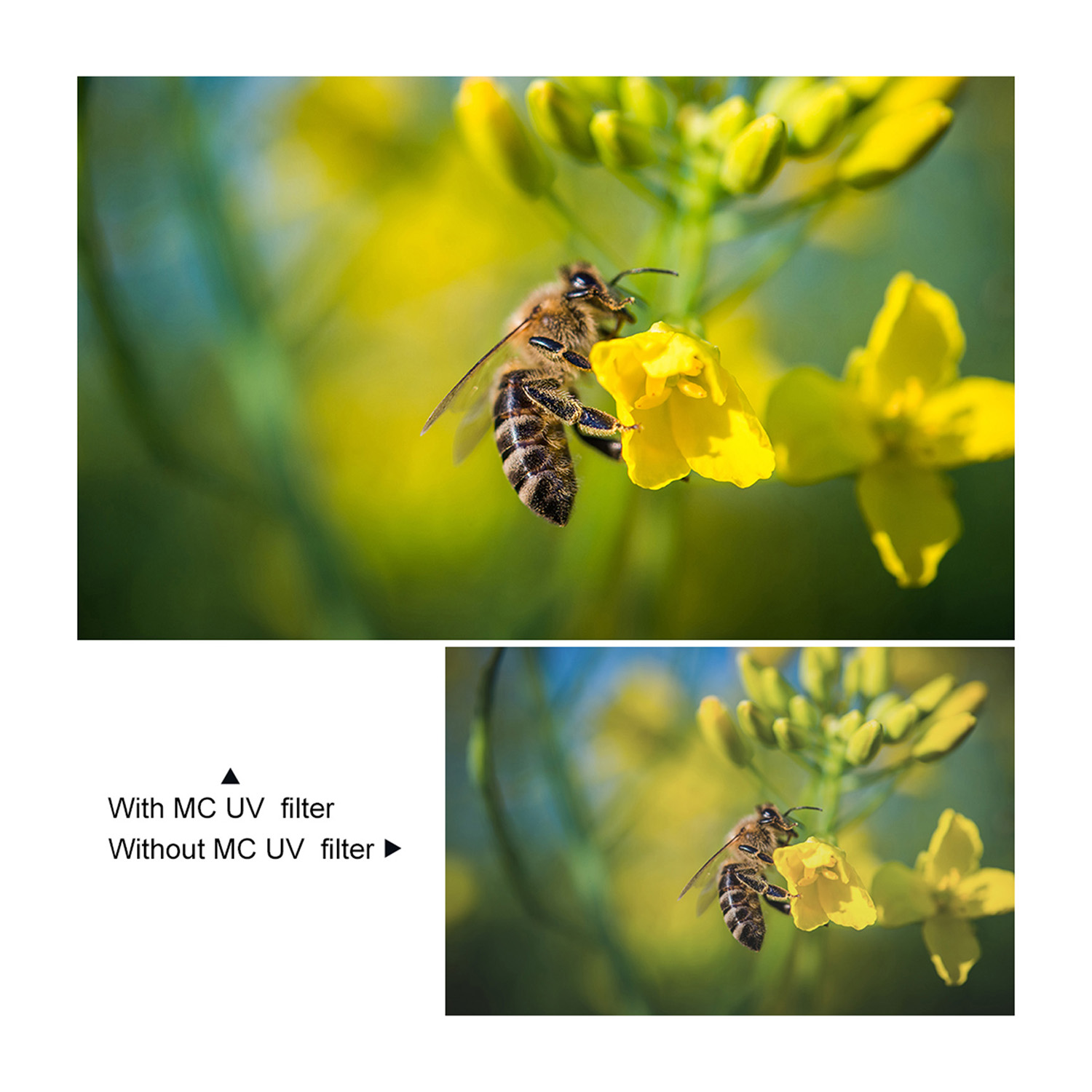 FILTRO 40.5MM ULTRAVIOLETA MCUV BLUE COAT SLIM KYF CONCEPT - 4