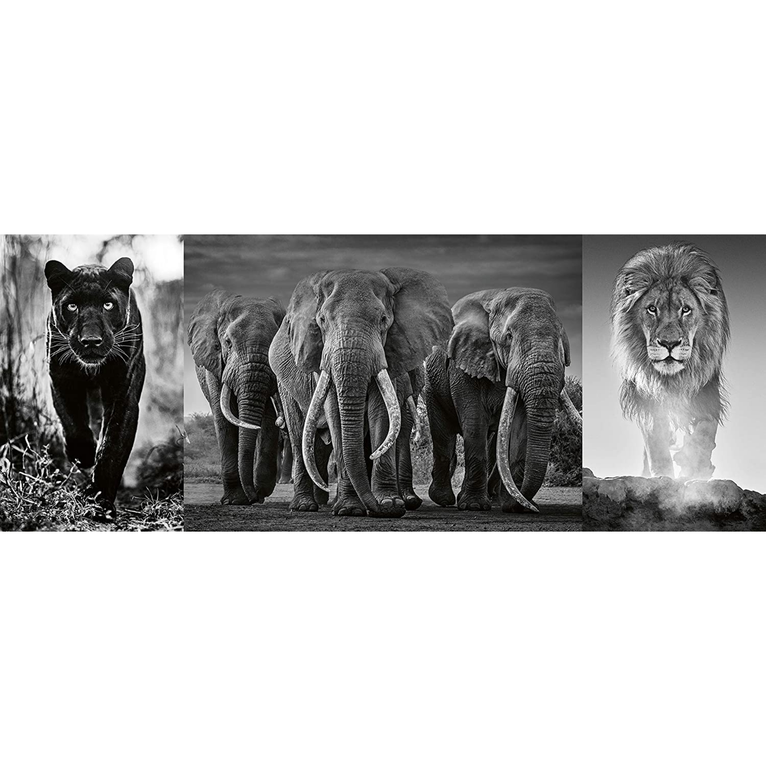 ROMPECABEZAS 1000 PZ PANTERA, ELEFANTE Y LEÓN BLANCO Y NEGRO - 2