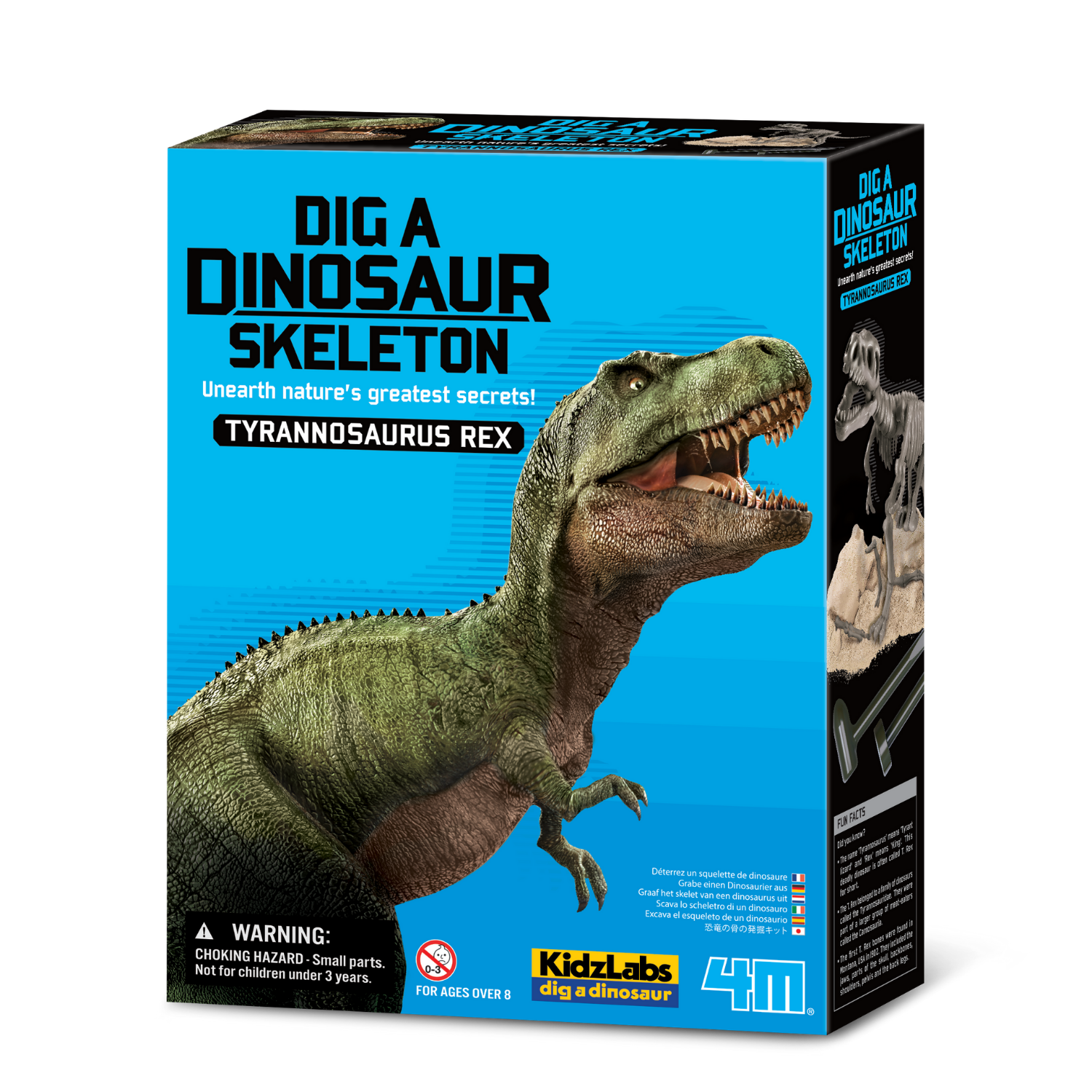 EXCAVA Y ARMA UN ESQUELETO DE TIRANOSAURIO REX - 1