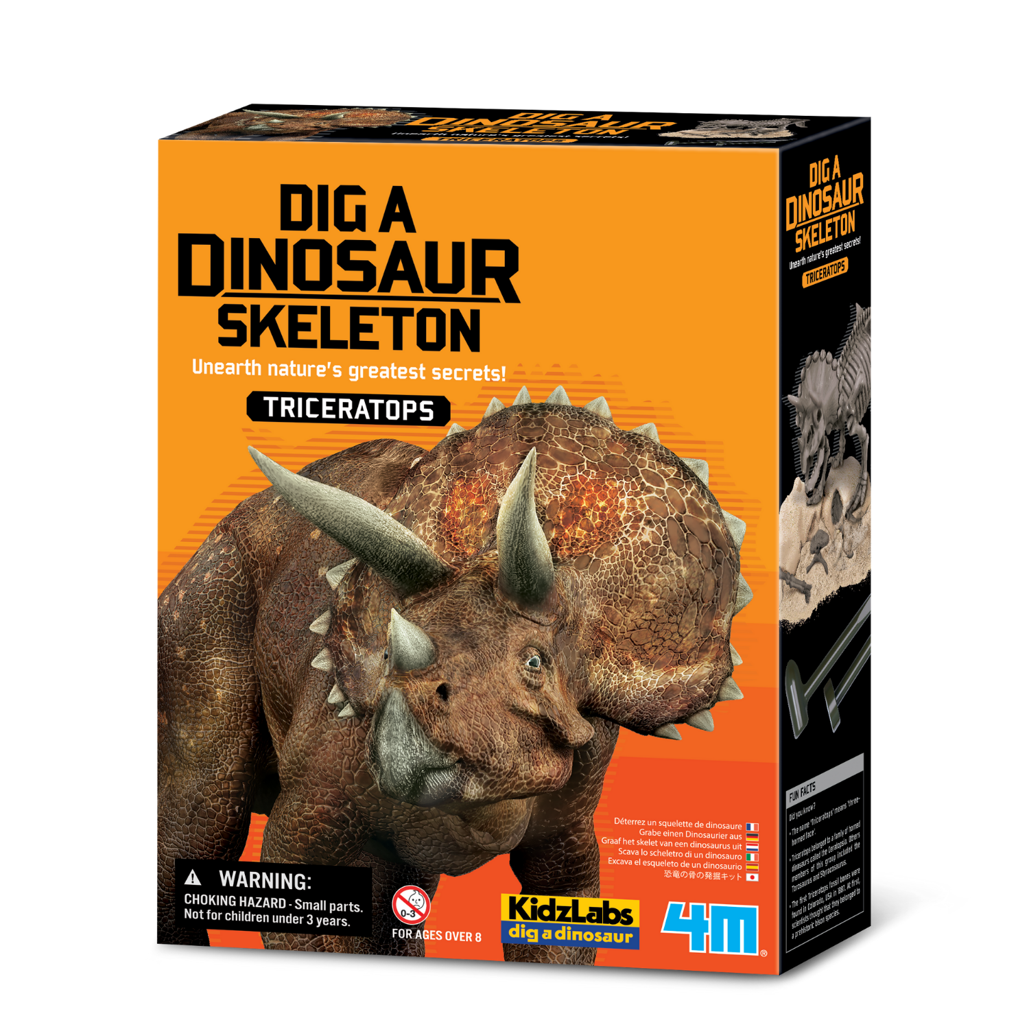 EXCAVA Y ARMA UN ESQUELETO DE TRICERATOPS - 1