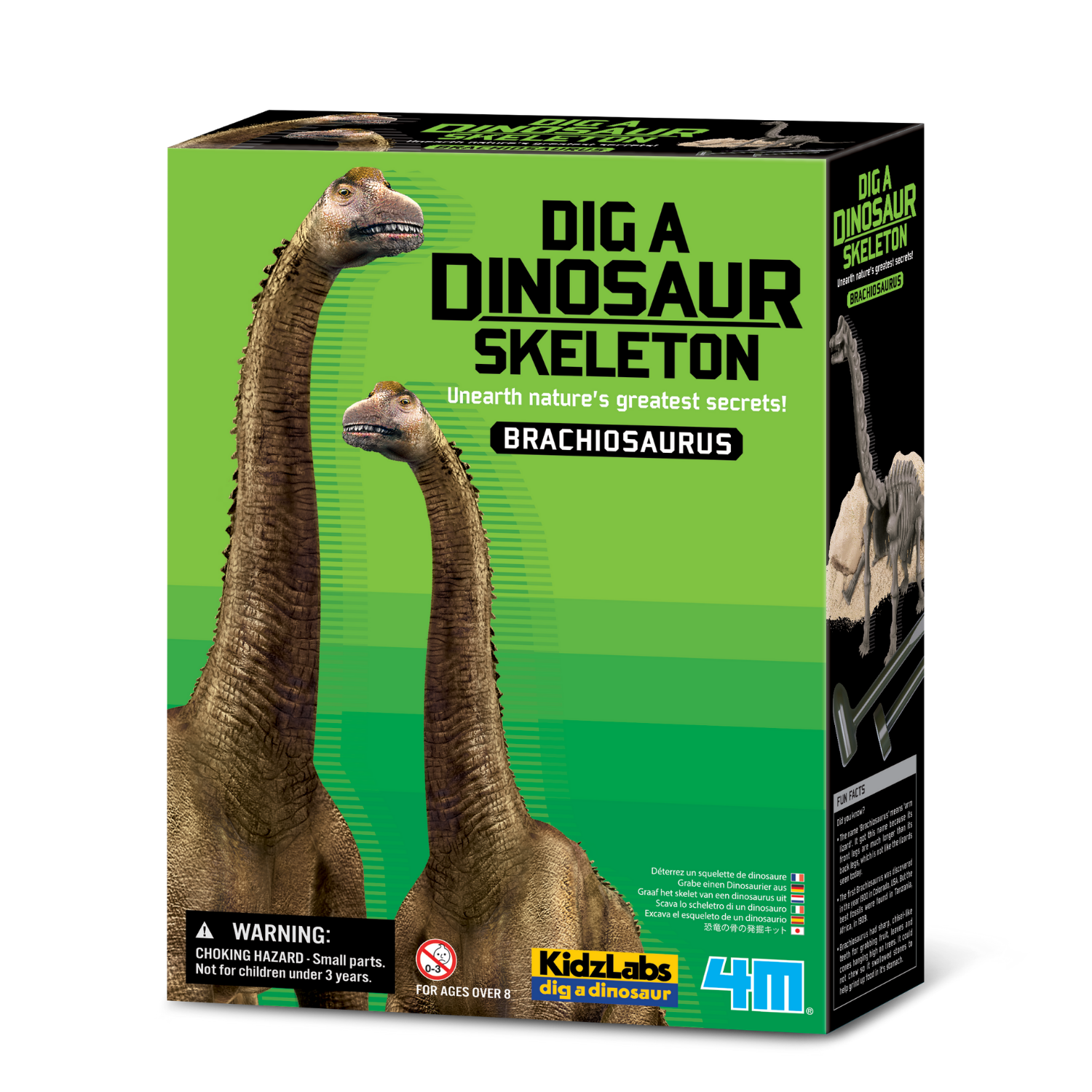 JUEGO DIDÁCTICO 4M EXCAVA Y ARMA UN ESQUELETO DE BRACHIOSAURUS - 1