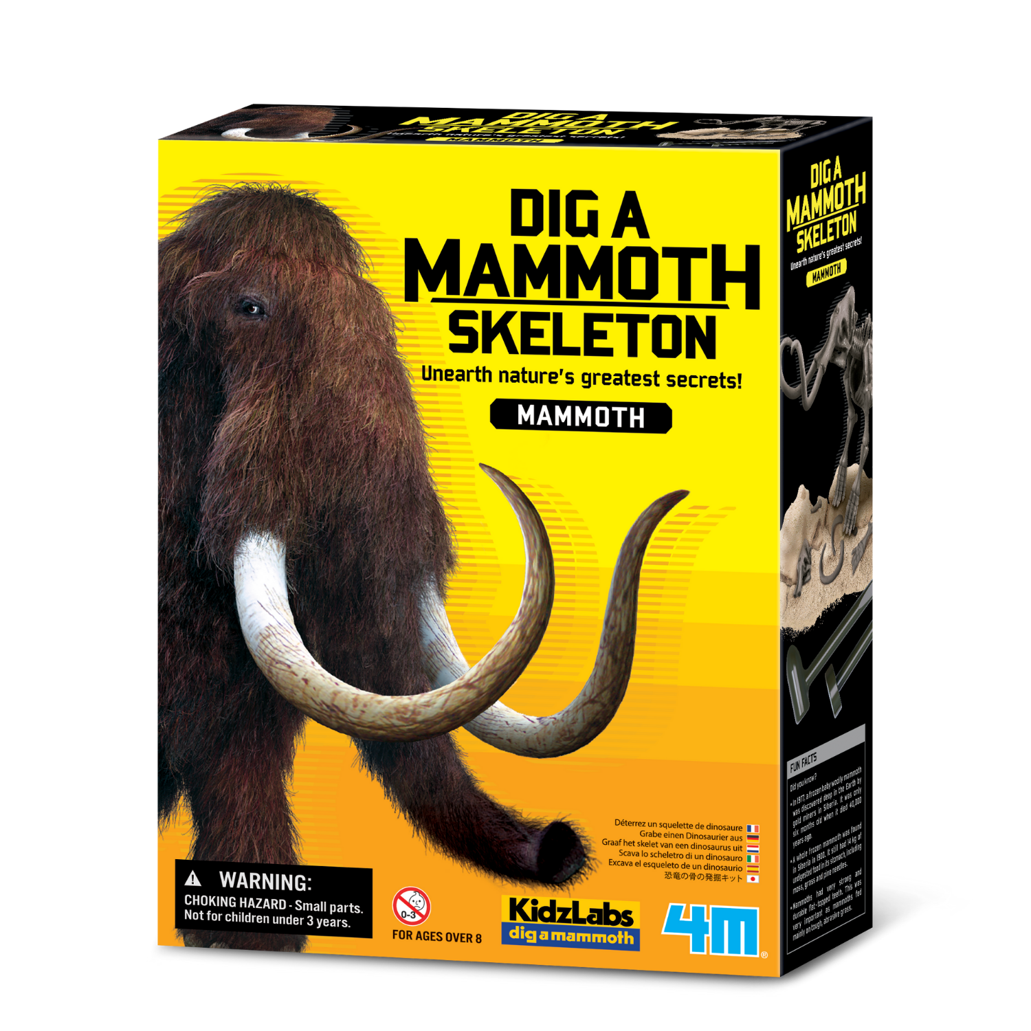 EXCAVA Y ARMA UN ESQUELETO DE MAMUT - 1