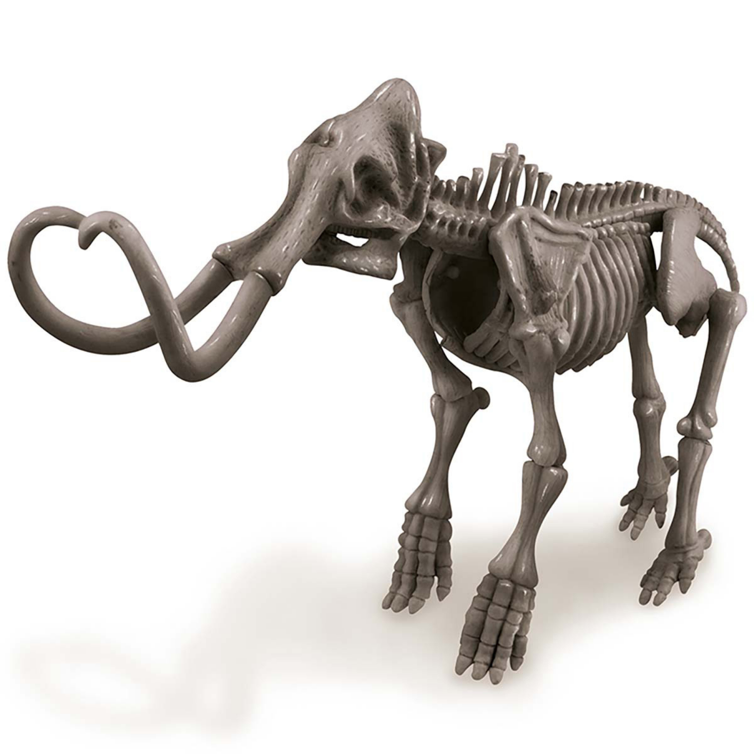 EXCAVA Y ARMA UN ESQUELETO DE MAMUT - 3
