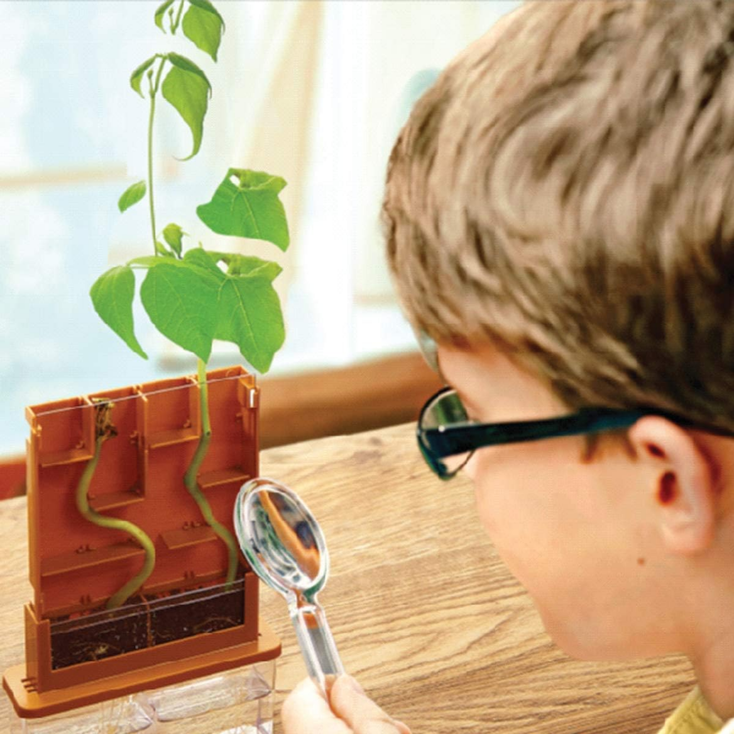 SET DE CIENCIA CREA LABERINTO DE CRECIMIENTO PARA PLANTAS - 4