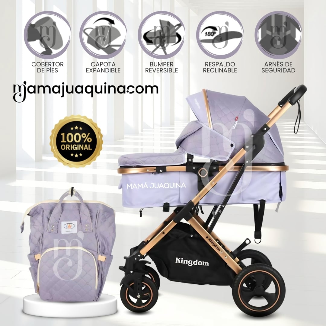 COCHE MOISÉS TRAVEL SYSTEM «BARBARA» CON BOLSA PAÑALERA MORADO - 1
