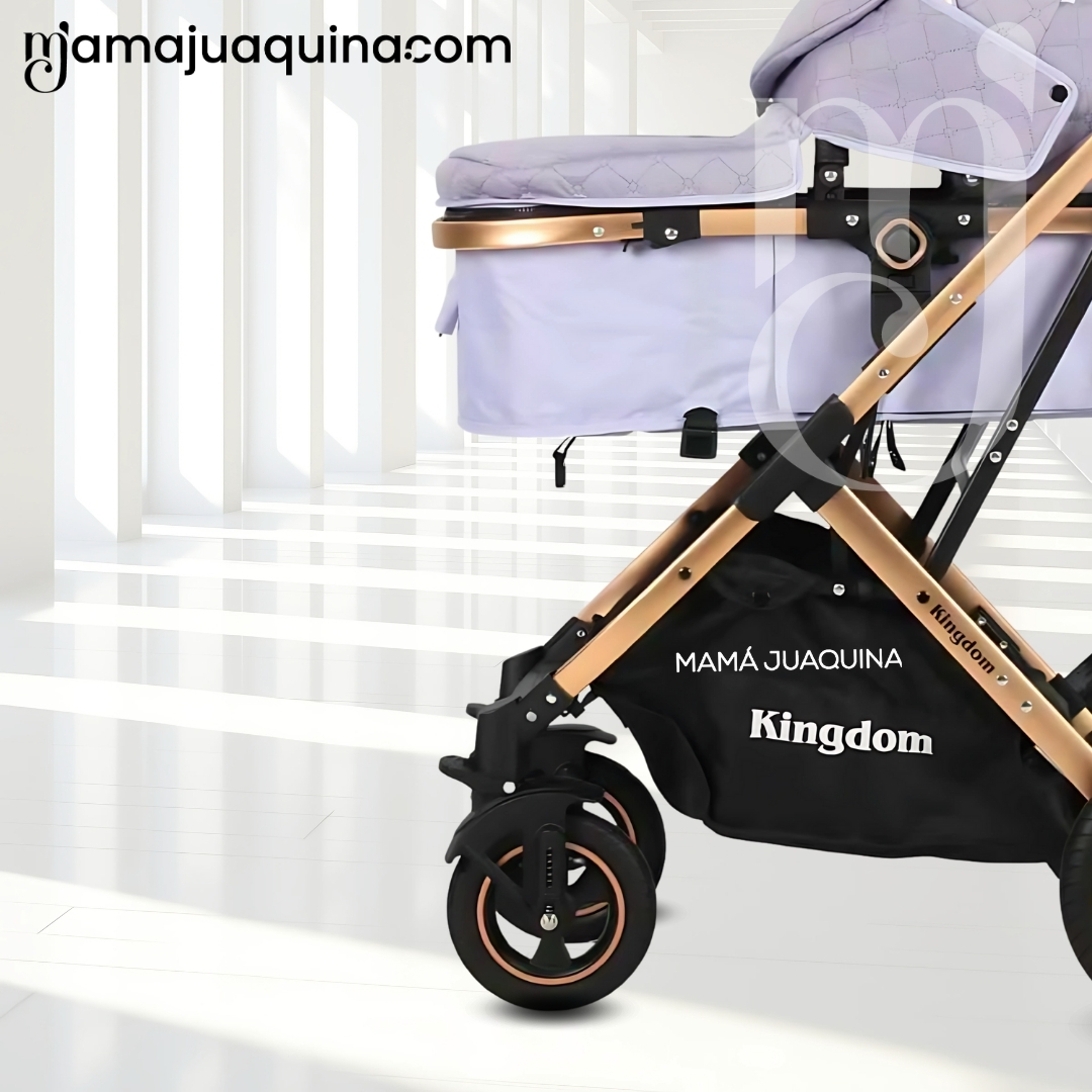 COCHE MOISÉS TRAVEL SYSTEM «BARBARA» CON BOLSA PAÑALERA MORADO - 2