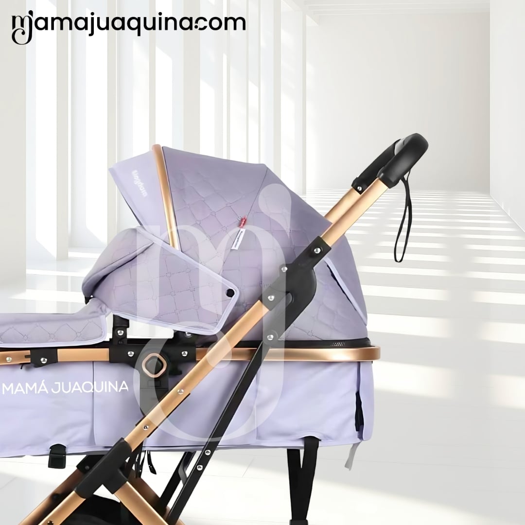 COCHE MOISÉS TRAVEL SYSTEM «BARBARA» CON BOLSA PAÑALERA MORADO - 3