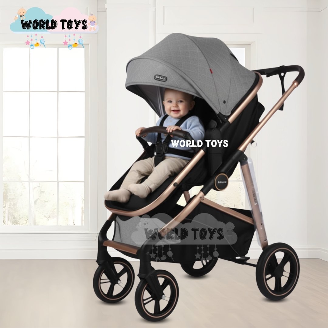 COCHE MOISÉS TRAVEL SYSTEM «MUNICH GOLD» DE LUJO GRAY - 3