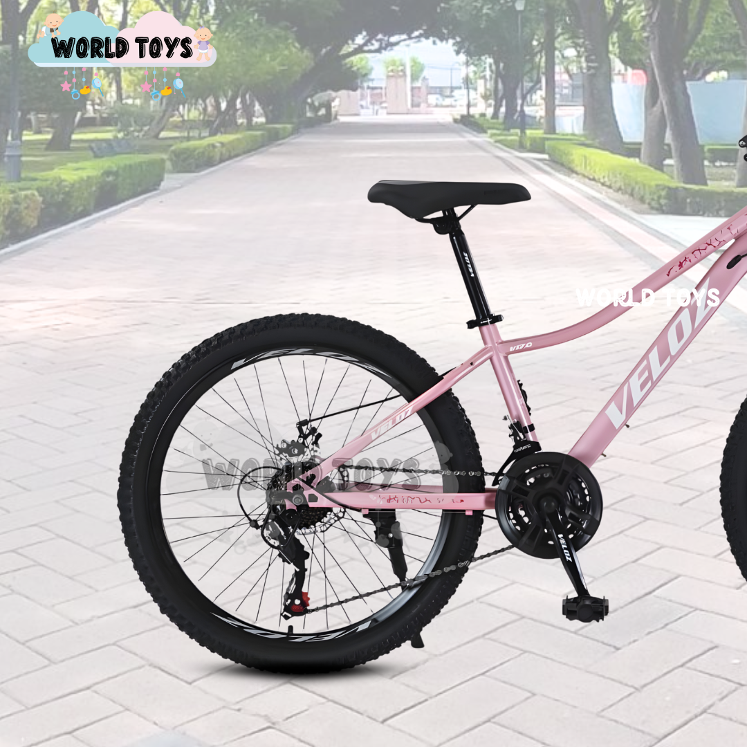 BICICLETA DEPORTIVA ARO 24 «SPORT LDY» EDICIÓN LIMITADA PINK - 2