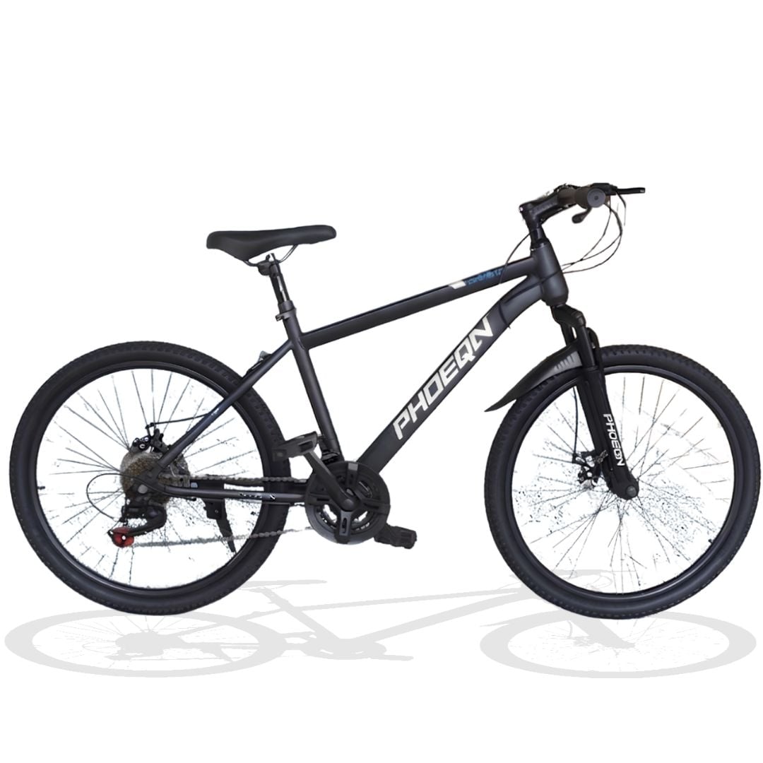 BICICLETA DEPORTIVA ARO 24 «PHOENIX» EDICIÓN LIMITADA - 1