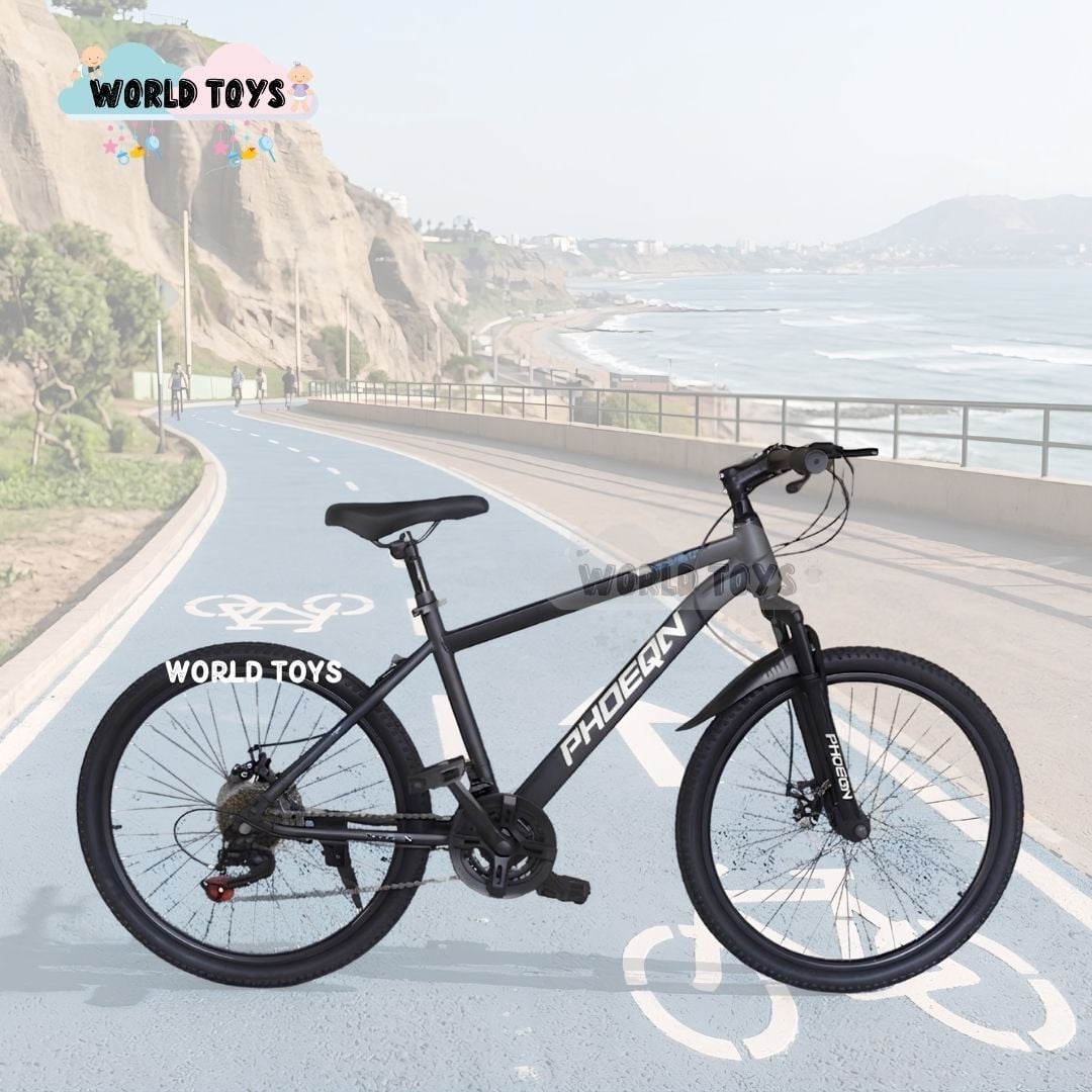 BICICLETA DEPORTIVA ARO 24 «PHOENIX» EDICIÓN LIMITADA - 3