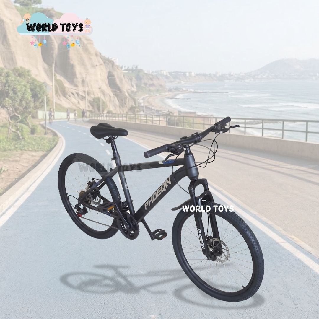 BICICLETA DEPORTIVA ARO 24 «PHOENIX» EDICIÓN LIMITADA - 4