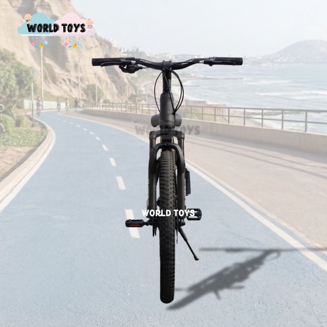 BICICLETA DEPORTIVA ARO 24 «PHOENIX» EDICIÓN LIMITADA - 5