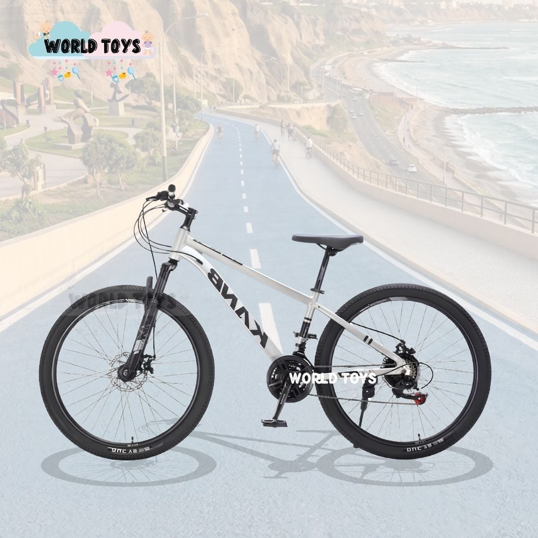 BICICLETA DEPORTIVA ARO 24 «KAMB» EDICIÓN LIMITADA - 3