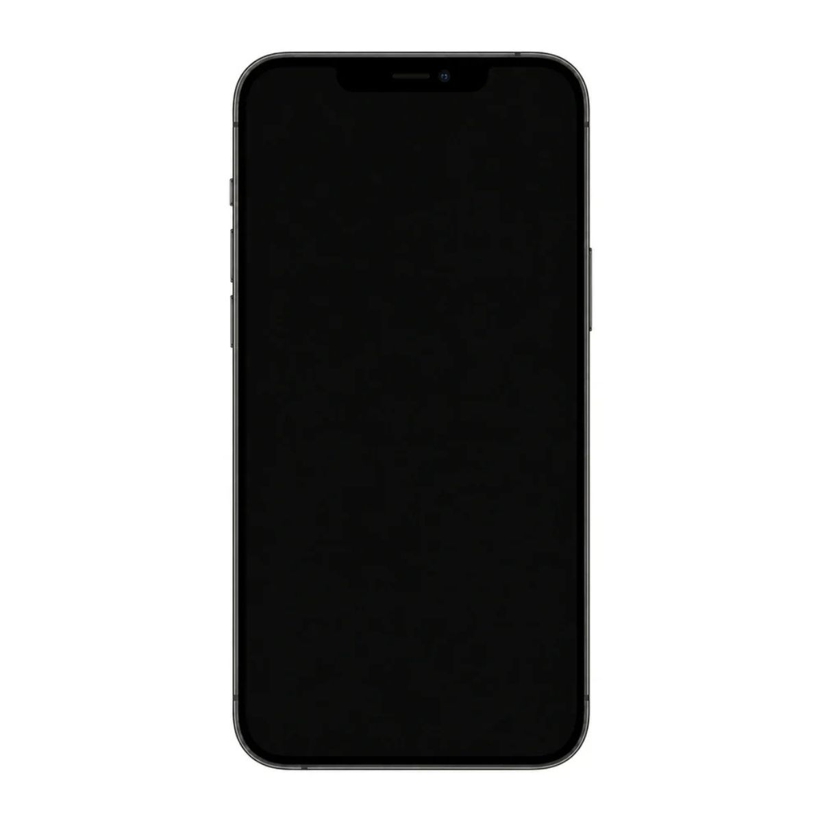 IPHONE 12 PRO GRAFITO 256GB 6GB RAM 12MP 6.1" REACONDICIONADO - 4