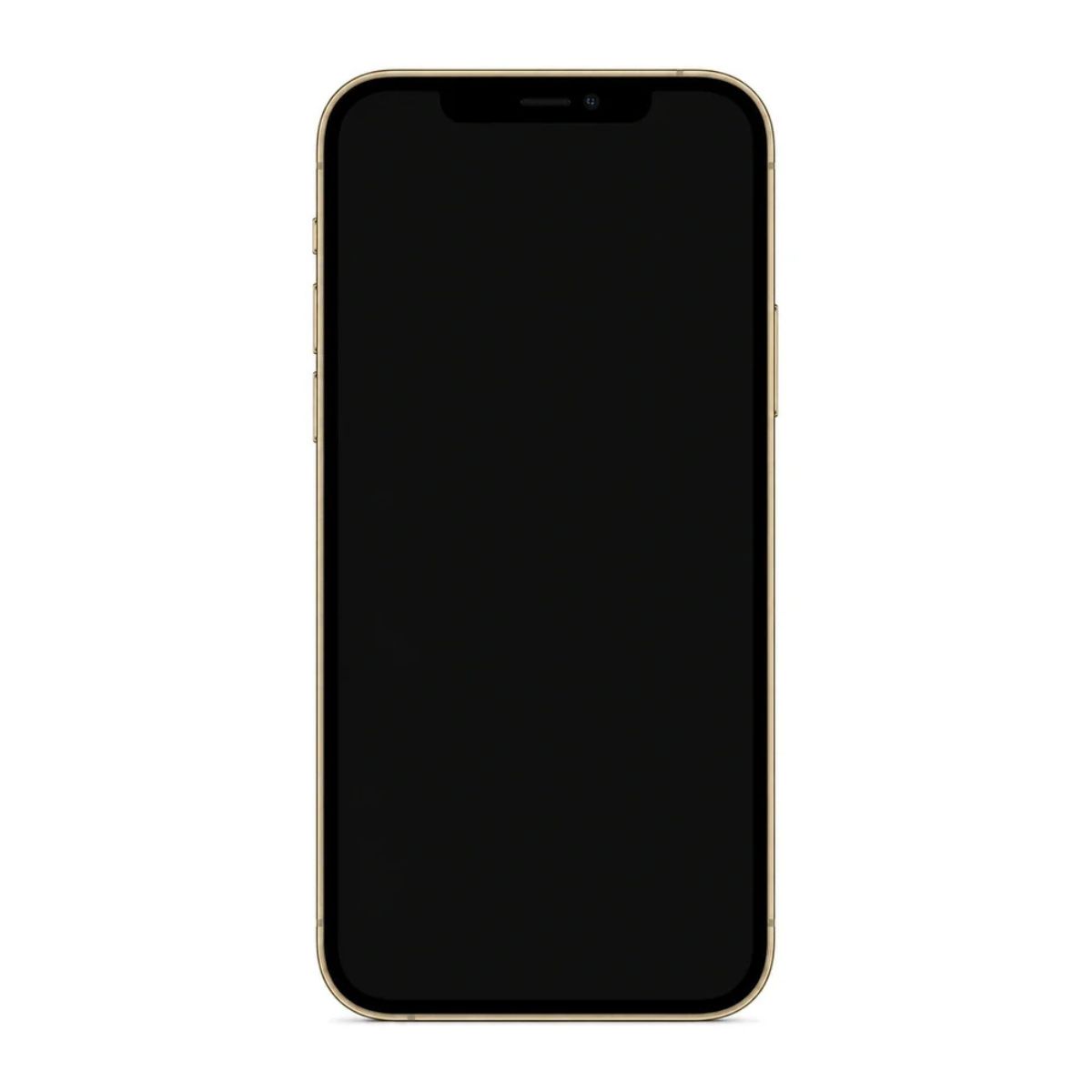 IPHONE 12 PRO ORO 256GB 6GB RAM 12MP 6.1" REACONDICIONADO - 4