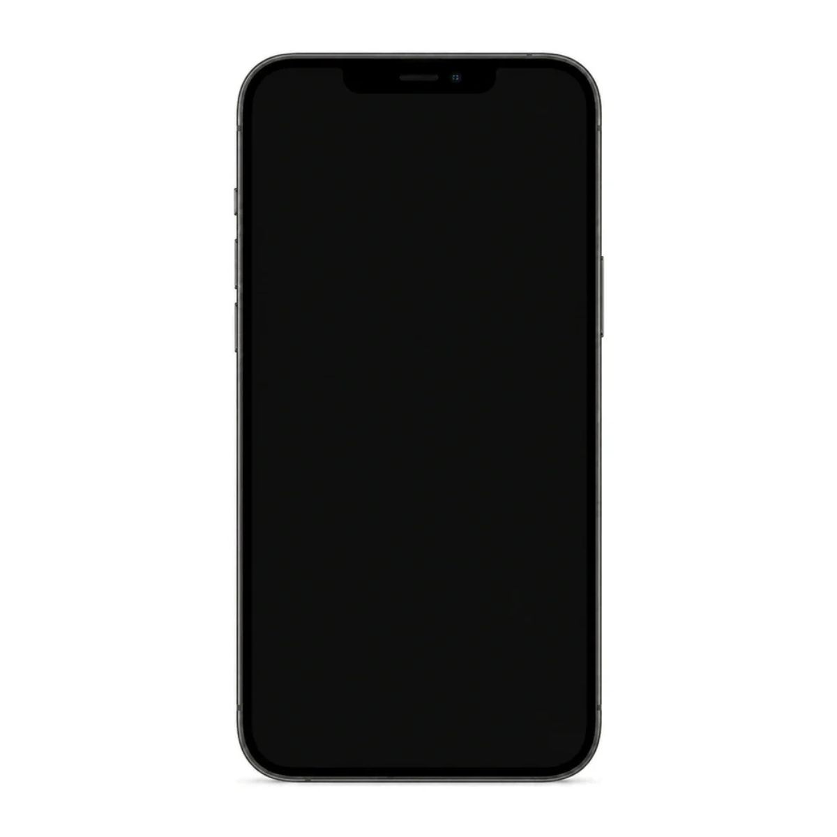 IPHONE 12 PRO MAX 5G 128GB 6GB RAM 12MP 6.7" GRAFITO REACONDICIONADO - 4