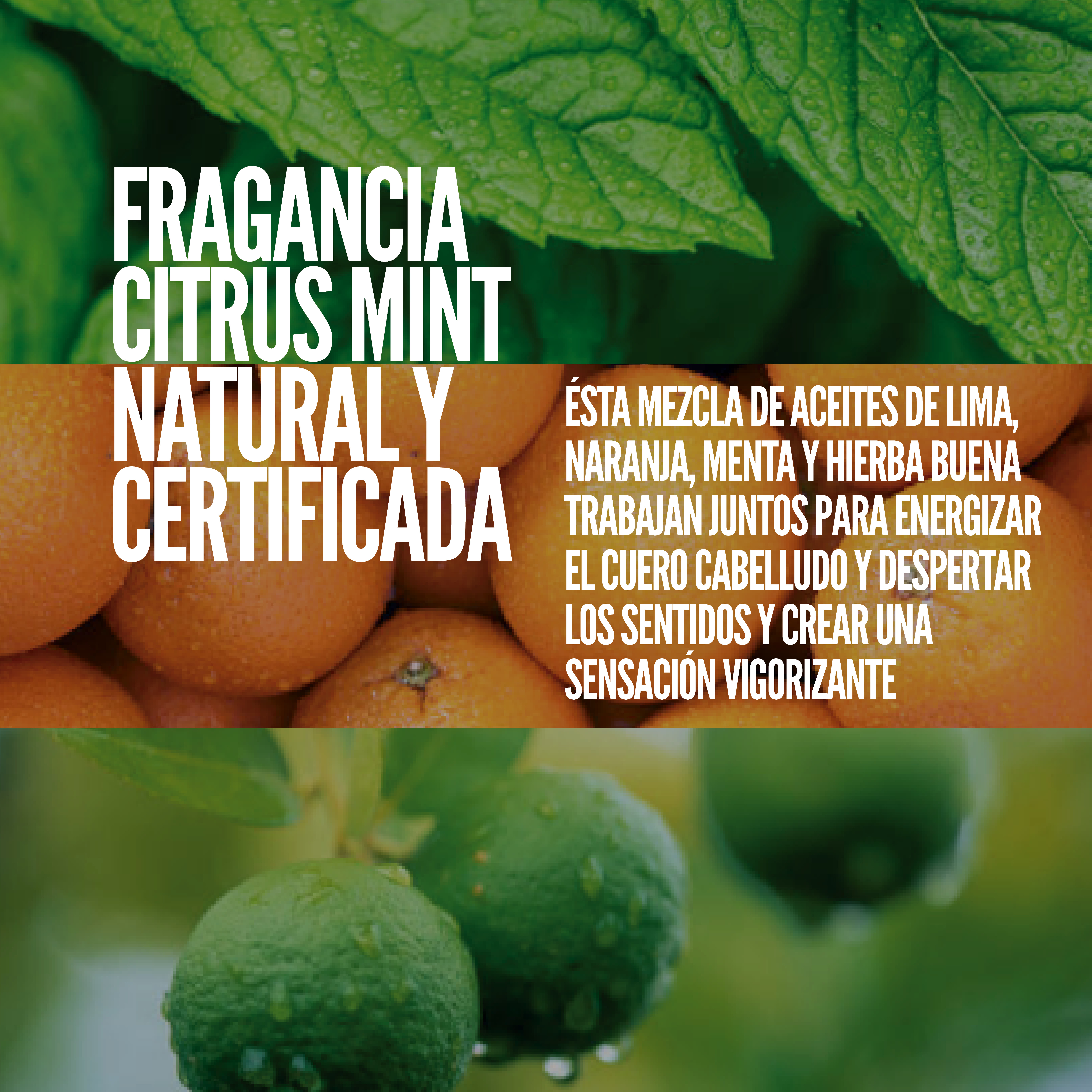 AMERICAN CREW ANTI-HAIRLOSS SHAMPOO X 250 ML - SHAMPOO ANTICAÍDA - 3