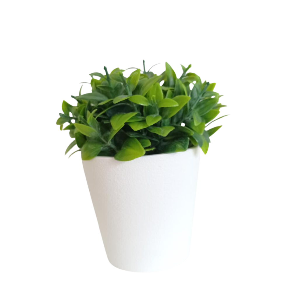 PACK DE 2 FLOREROS DE EUCALIPTO DE 15CM 00132-1 - 1