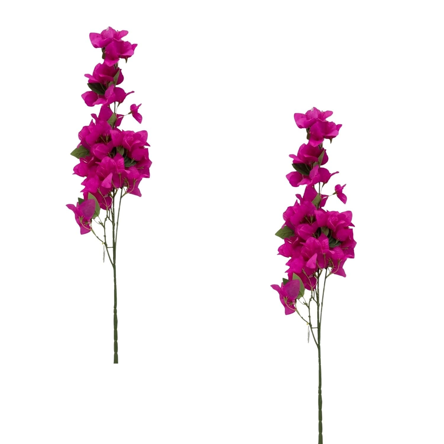 PACK DE 2 VARA DE BOUGAINVILLE BG 410081-LI FLORIPASTORE - 1