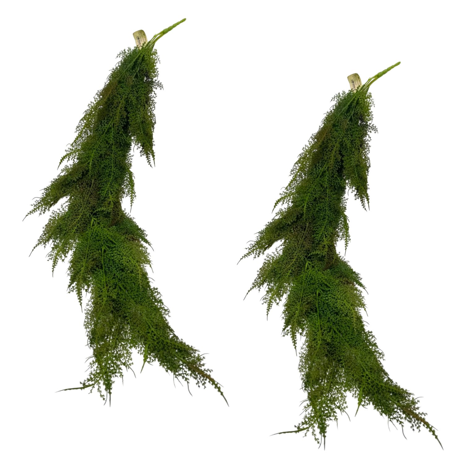 COLGANTE DE HELECHO BG 301414-A FLORIPASTORE - 1