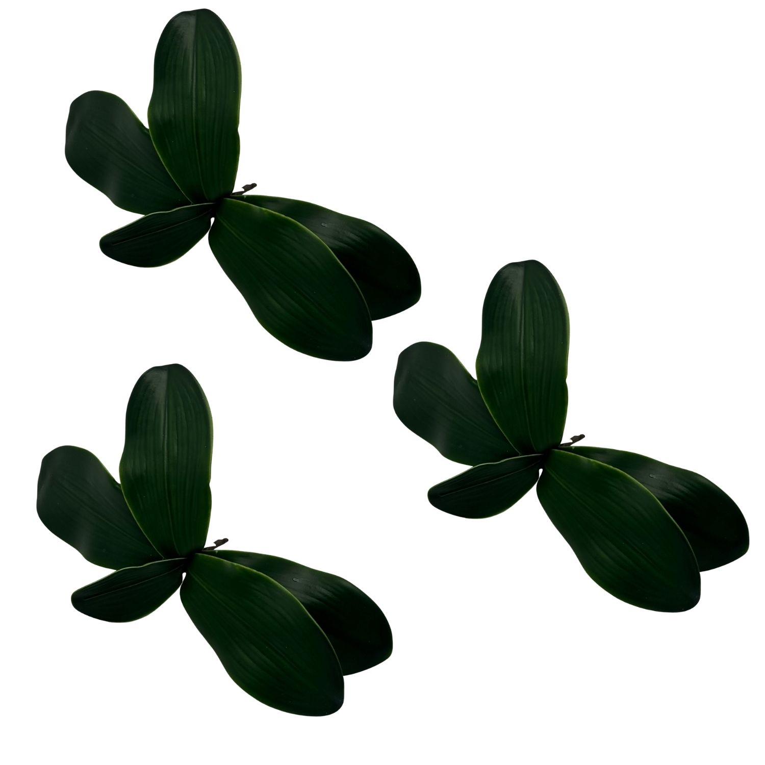 SET DE 3 HOJAS DE ORQUIDEA DE 23CM B-5  FLORIPASTORE - 1
