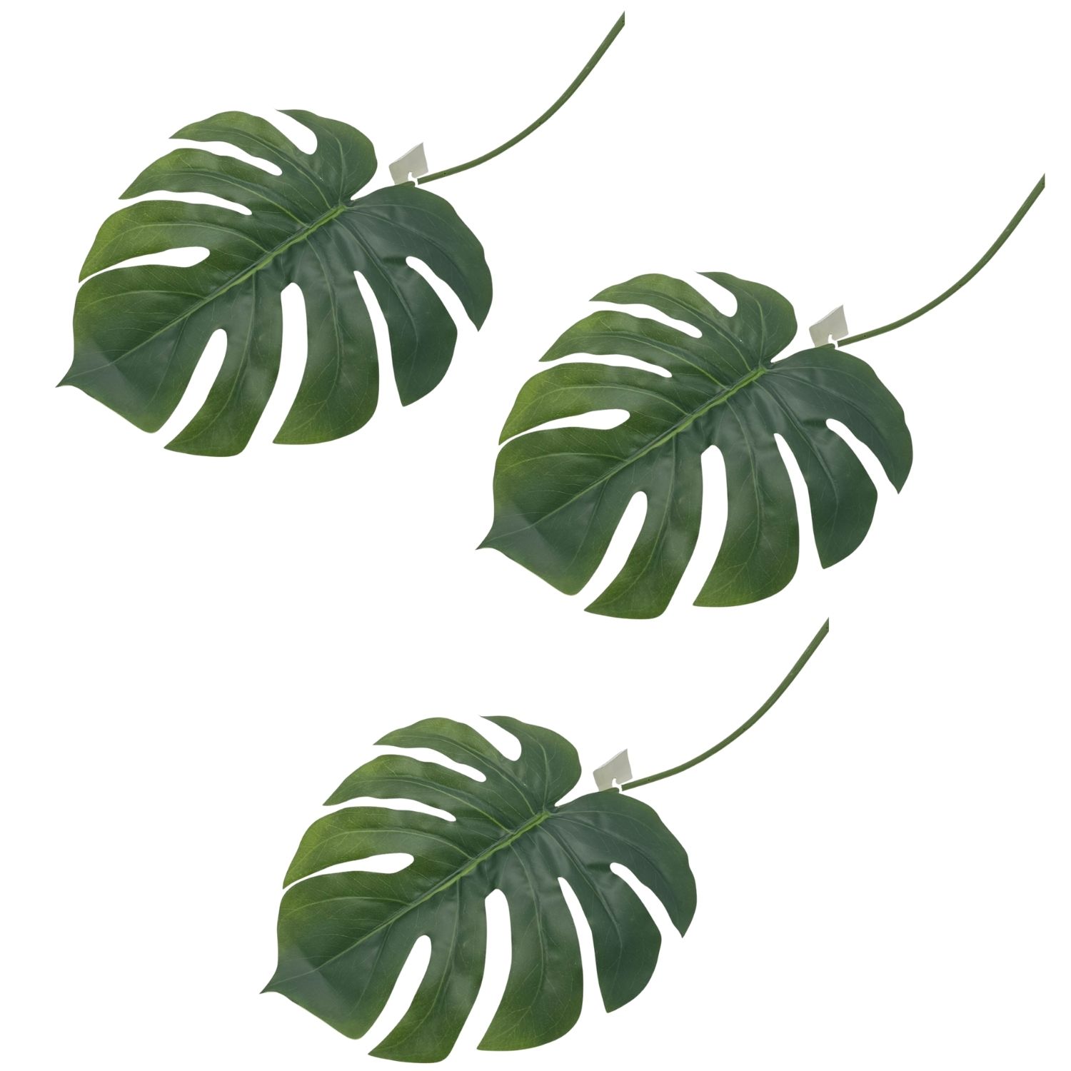 SET DE 3 VARAS DE HOJA TIPO COSTILLA DE ADAM DE 101CM 7679 FLORIPASTORE - 1