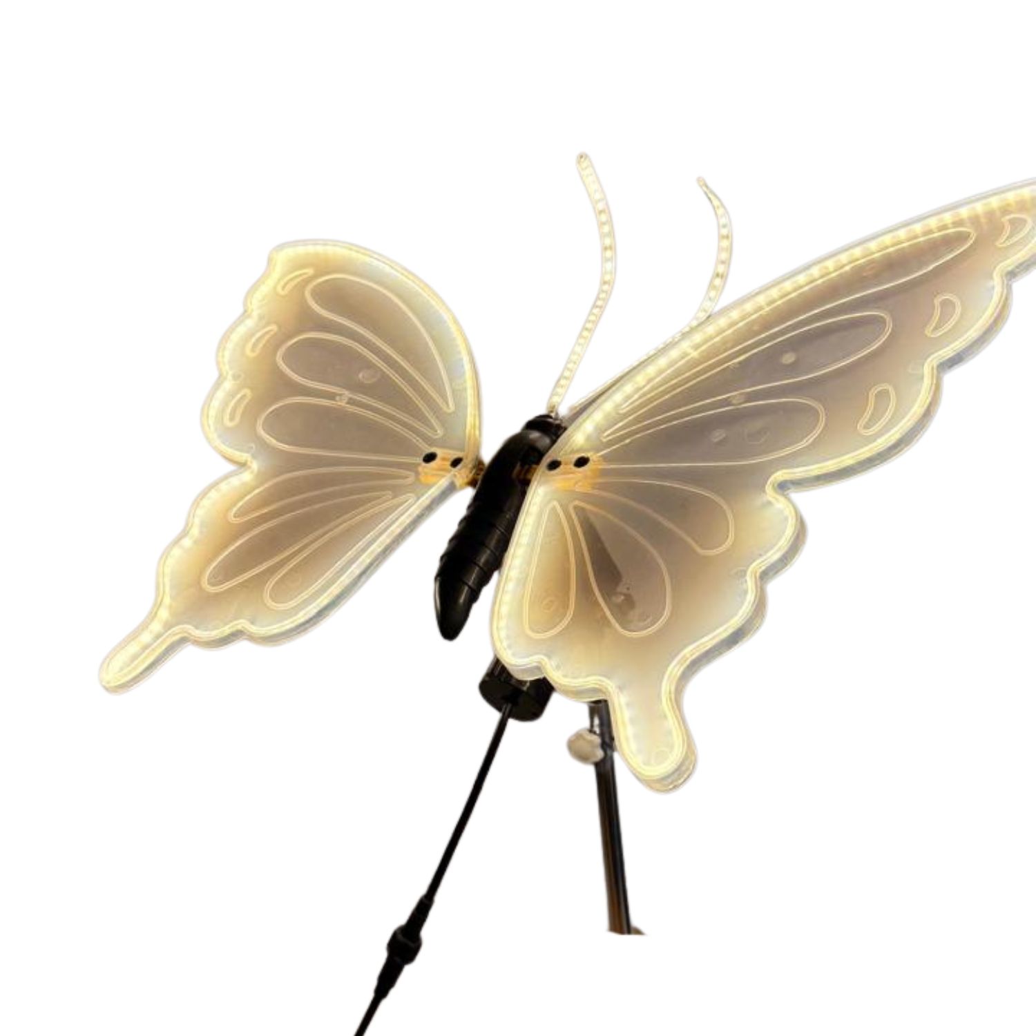 MARIPOSA DECORATIVA CON MOTOR Y LED DE 80CM BD232 FLORIPASTORE - 2