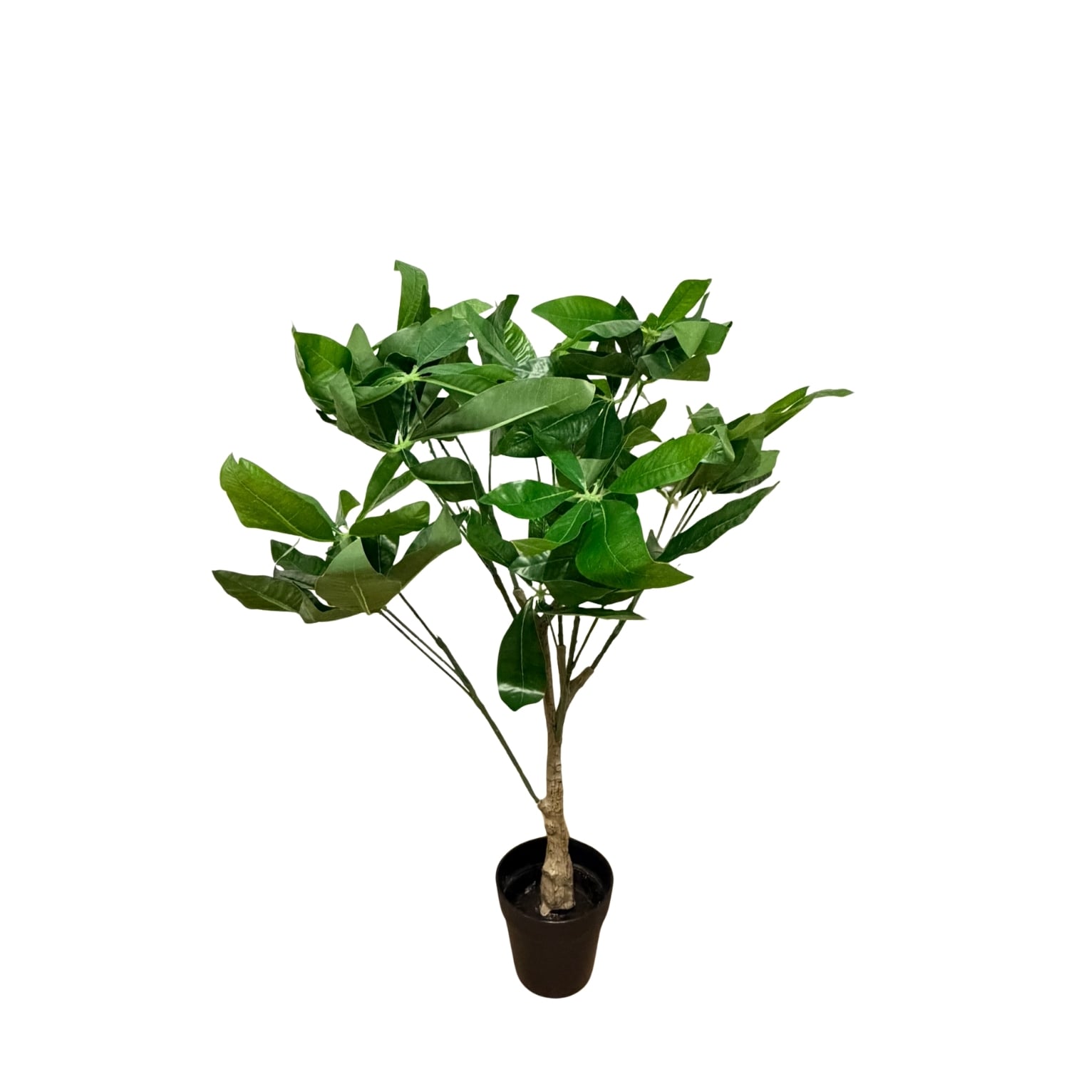 PLANTA ARTIFICIAL TIPO PALMERA DE 75CM 7427 FLORIPASTORE - 1