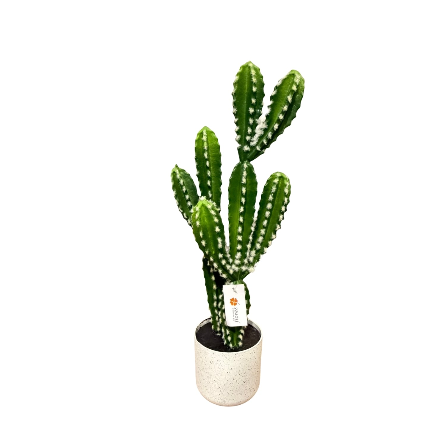 PLANTA ARTIFICIAL TIPO CACTUS DE 56CM 7439 FLORIPASTORE - 1