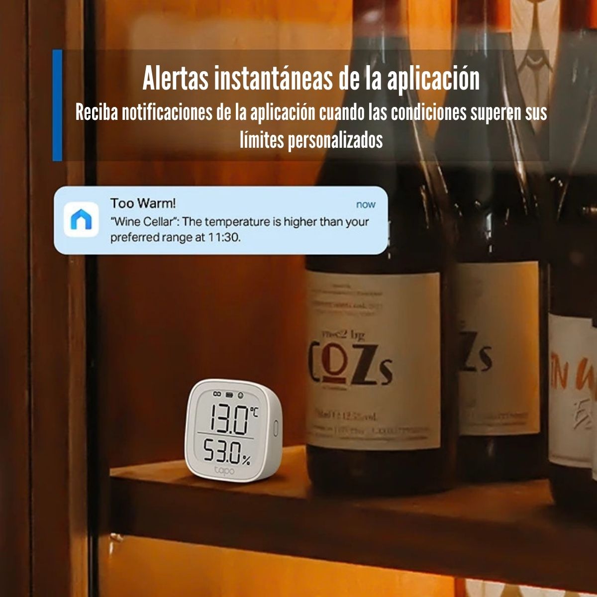TP-LINK - SENSOR DE HUMEDAD Y TEMPERATURA TAPO T315 SMART WIFI - 5