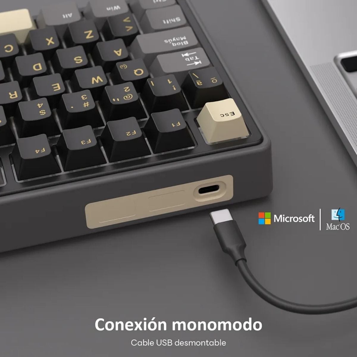 ROYAL KLUDGE - TECLADO R75 WIRED 75% PHATOM SWITCH BROWN - 3