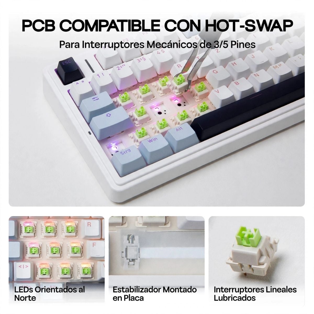 TECLADO AULA F75 WIRELESS ESPAÑOL BLUE WHITE PURPLE SWITCH REAPER - 3