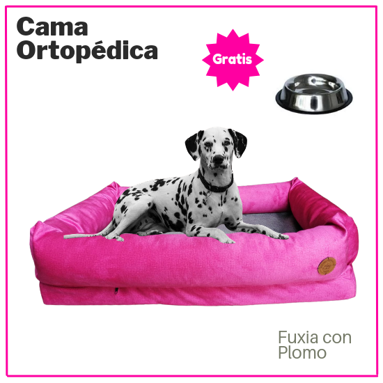 Collar De Cabeza En Forma De 8 Para Perros - Sin Correa - Mide A Tu Perro Para El Tamaño Correcto