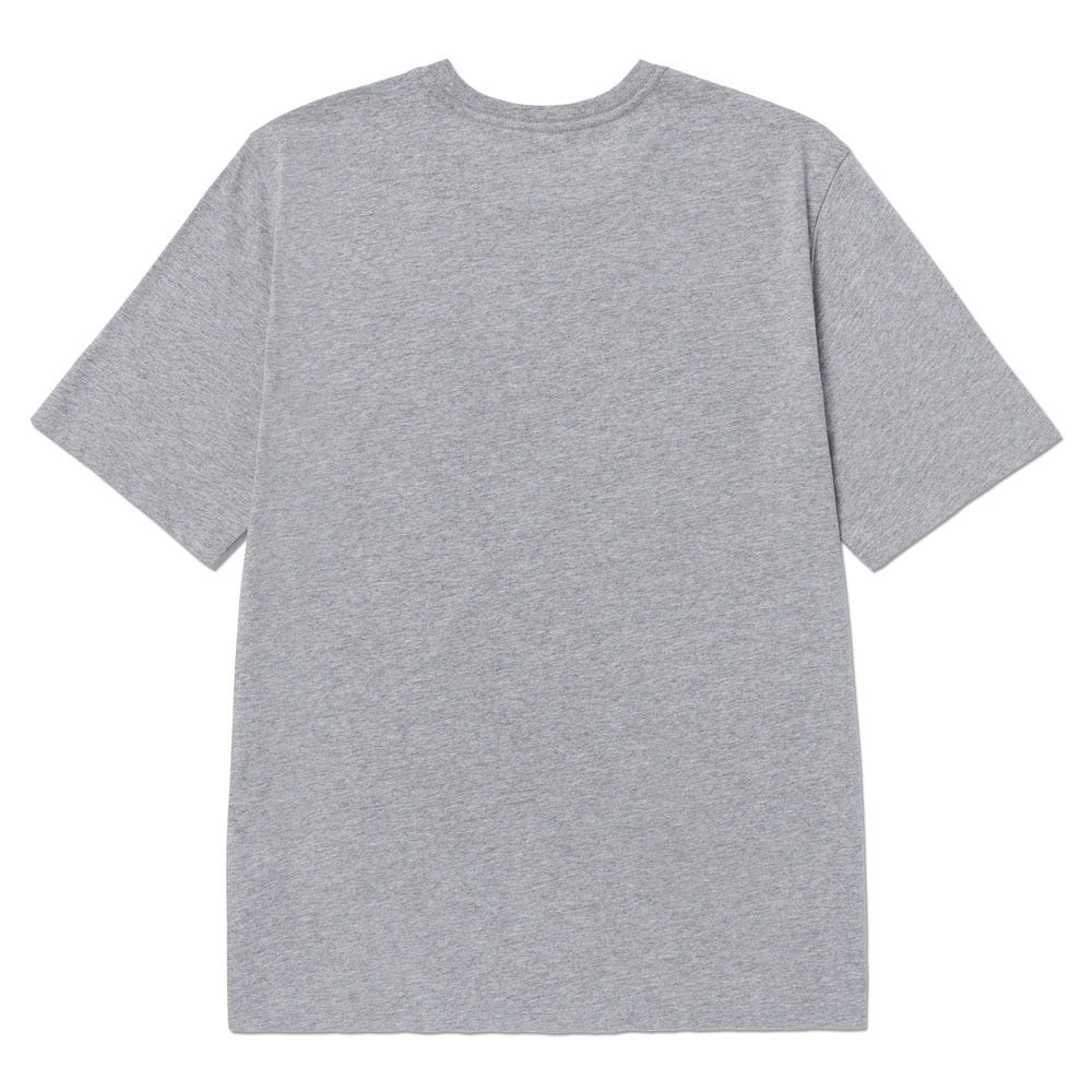 POLO HOMBRE HERITAGE PEORIA GRAPHIC GRIS - 2