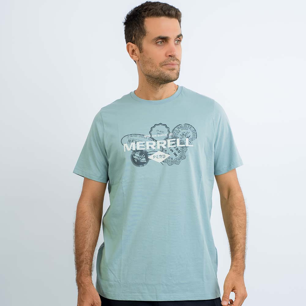POLO HOMBRE PERU GRAPHIC GRIS - 2
