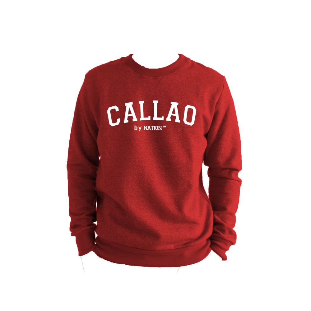 POLERÓN MANGA LARGA HOMBRE NATION STORE CALLAO TM - 1