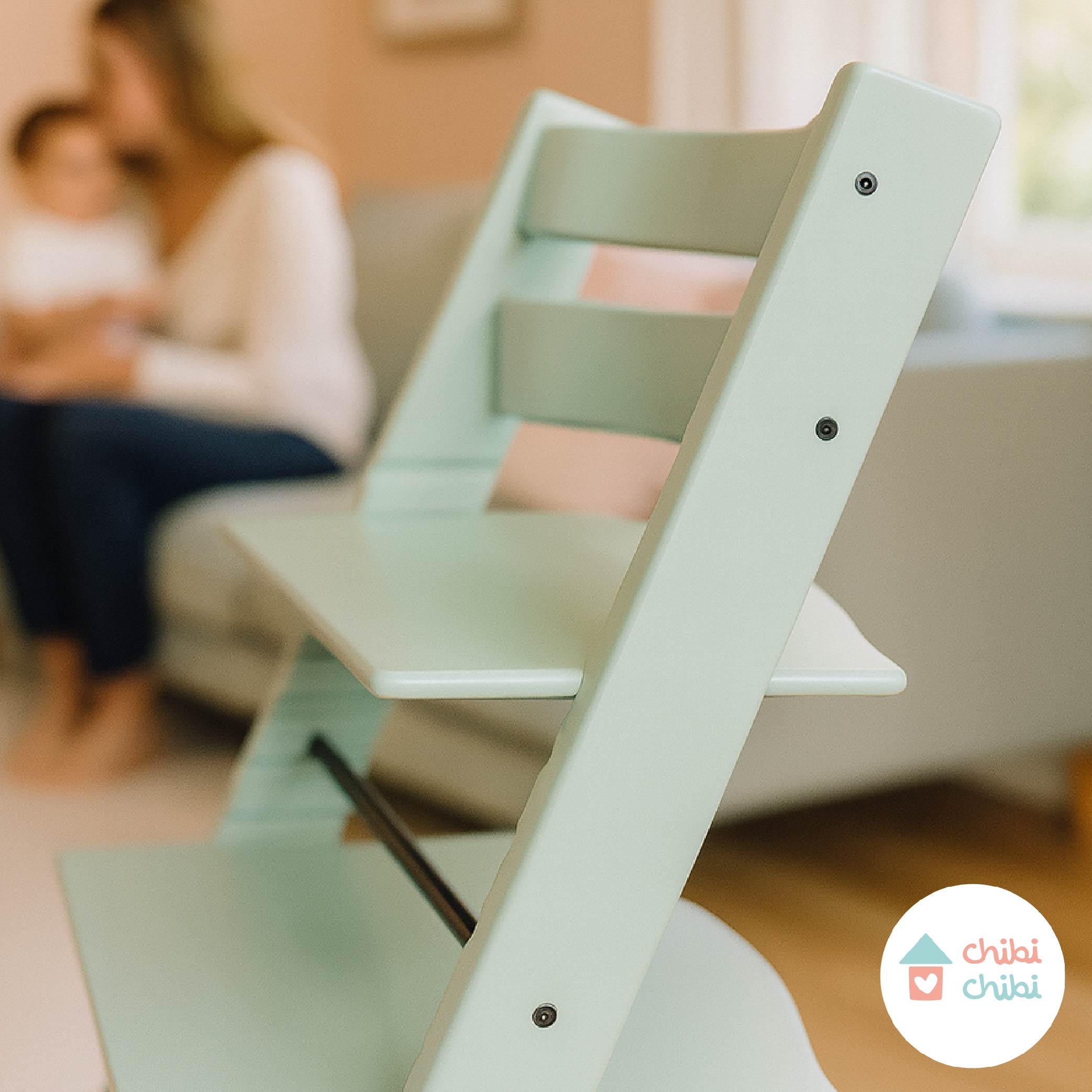SILLA EVOLUTIVA - 10