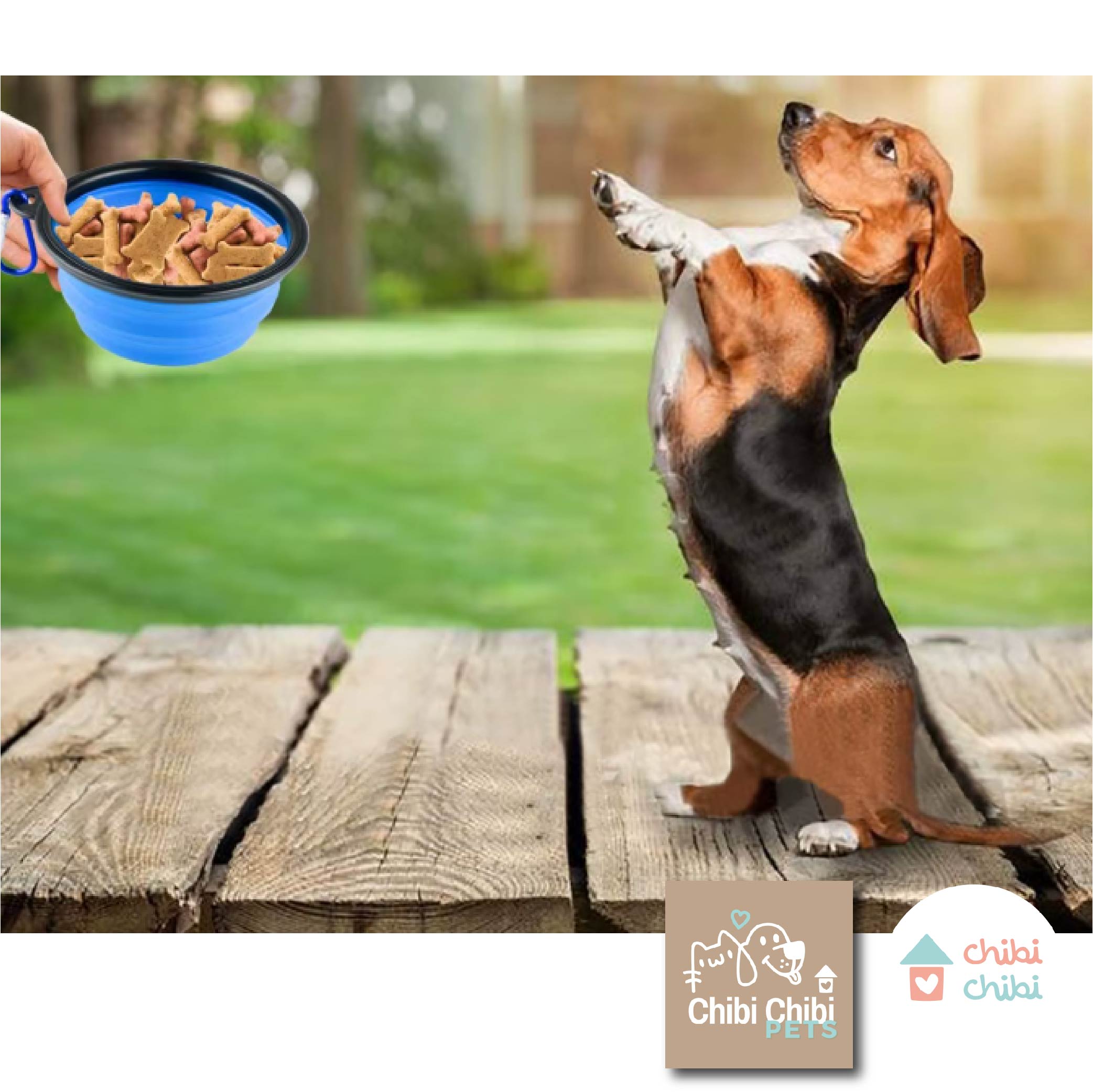 PLATOS PLEGABLES PARA MASCOTAS - 4
