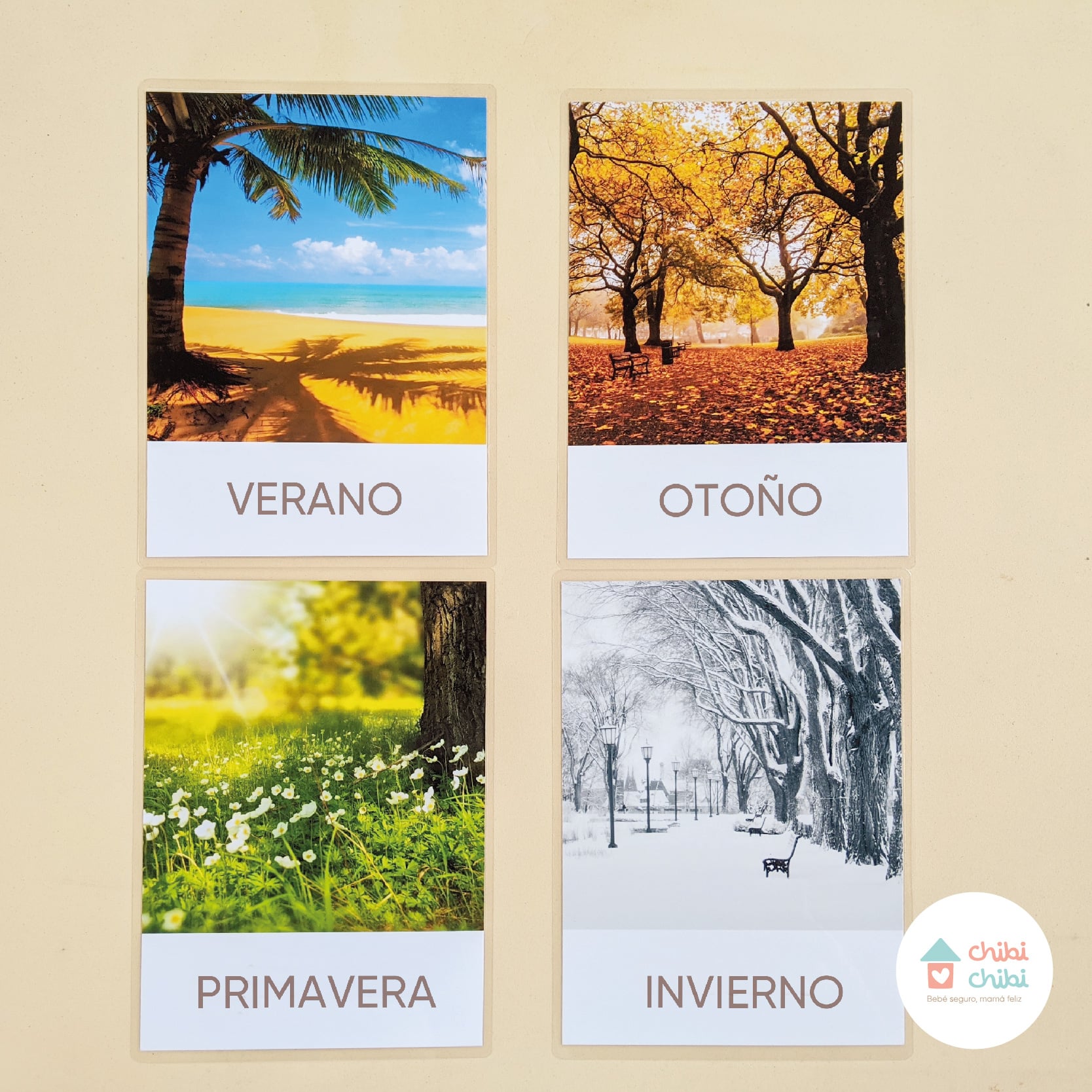 FLASHCARDS – 12 TARJETAS-CLIMA - 2