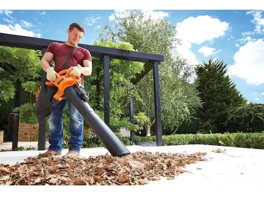 SOPLADORA ASPIRADORA 2500W BLACK DECKER BV25-B2C - 5