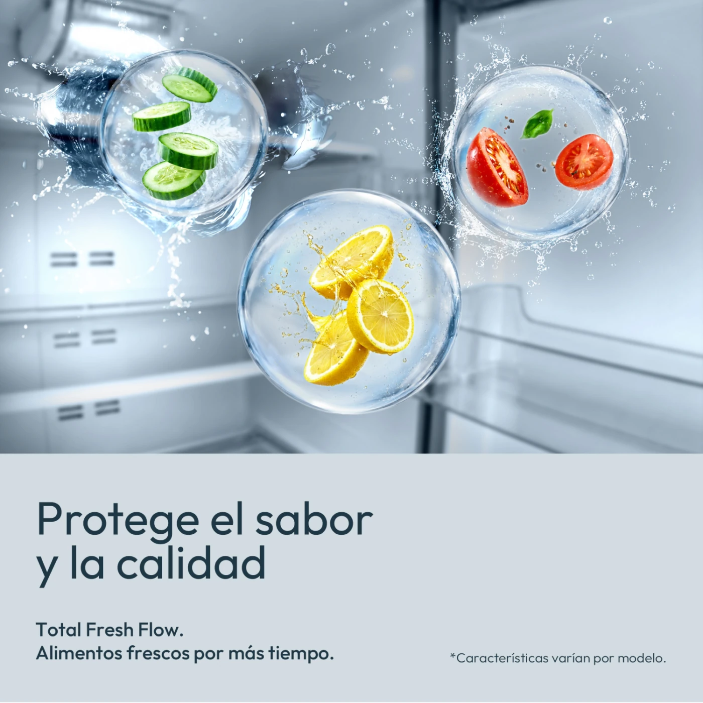 REFRIGERADORA MABE TOP FREEZER NO FROST RMP415ZPC 382 L NETO BLACK STEEL - 8