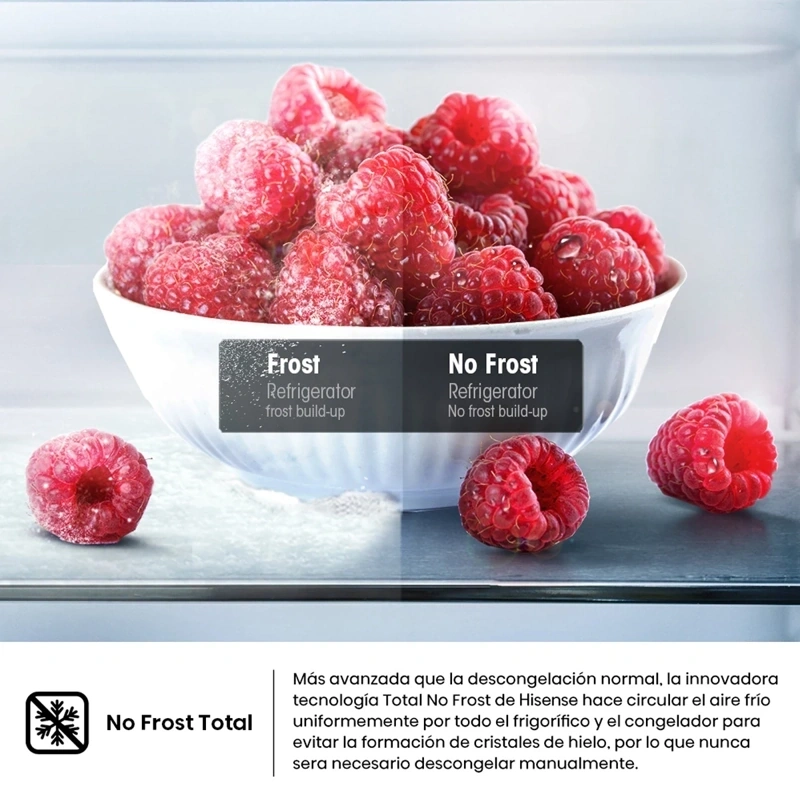 REFRIGERADORA HISENSE TOP FREEZER NO FROST RT3N320NMC - 6