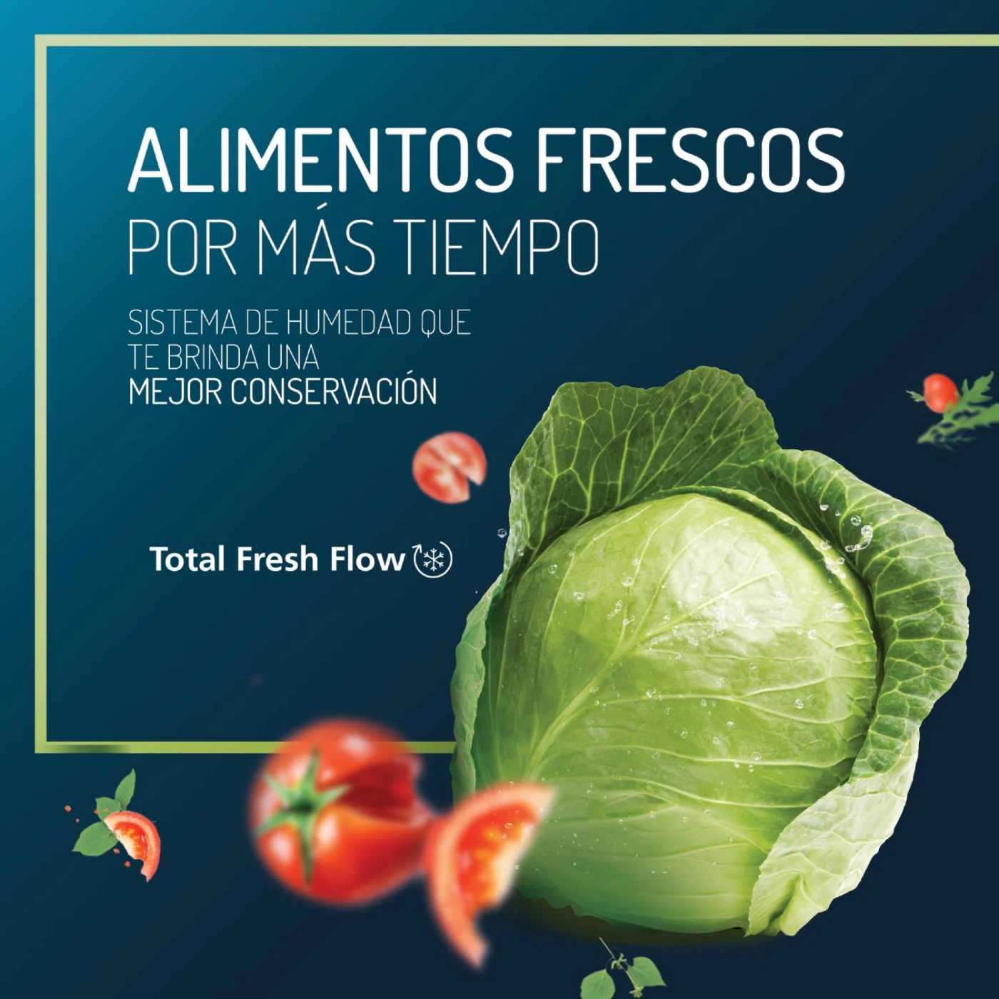 REFRIGERADORA MABE BOTTOM FREEZER NO FROST RMB432PXPRP0 - 6